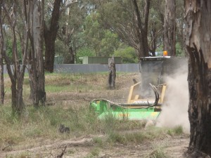 Removing low vegetation behind houses