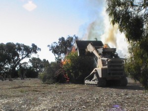 Burning rubbish and weeds on small property